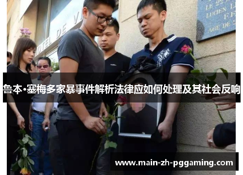 鲁本·塞梅多家暴事件解析法律应如何处理及其社会反响