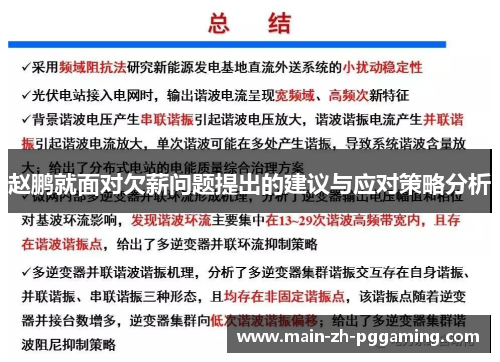 赵鹏就面对欠薪问题提出的建议与应对策略分析