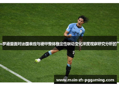 罗德里面对法国表现与德甲整体稳定性联动变化深度观察研究分析的