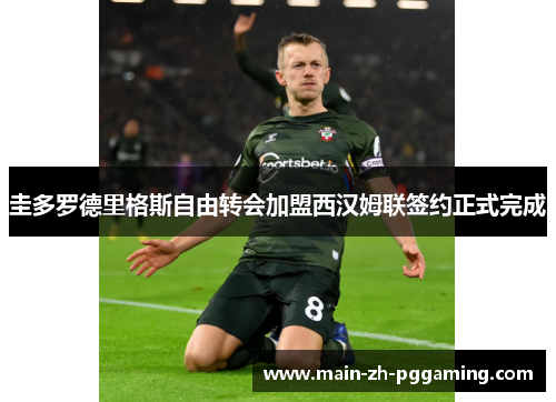 圭多罗德里格斯自由转会加盟西汉姆联签约正式完成