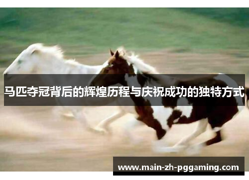 马匹夺冠背后的辉煌历程与庆祝成功的独特方式
