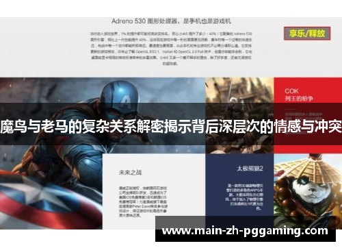 魔鸟与老马的复杂关系解密揭示背后深层次的情感与冲突